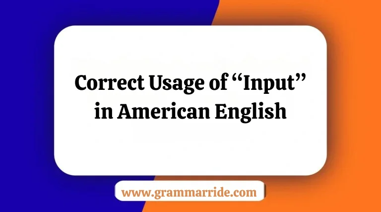 Correct Usage of “Input” in American English