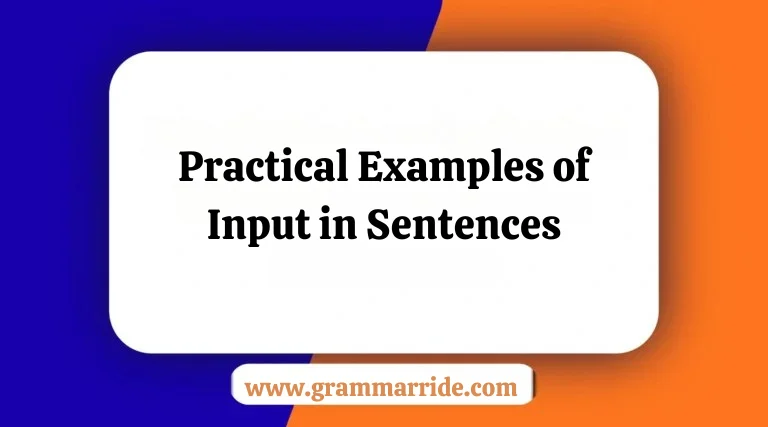 Practical Examples of Input in Sentences