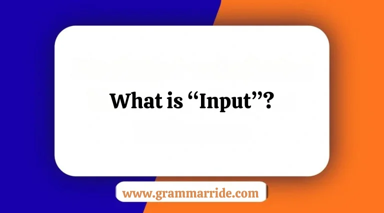 What is “Input”?