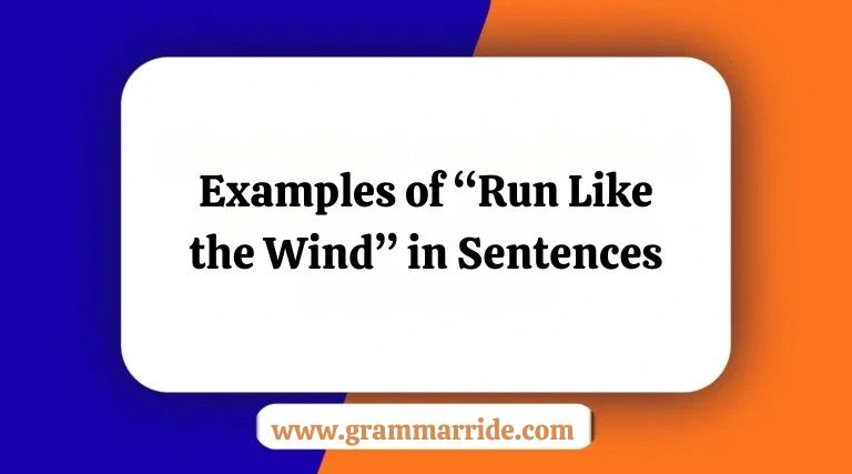 Examples of “Run Like the Wind” in Sentences