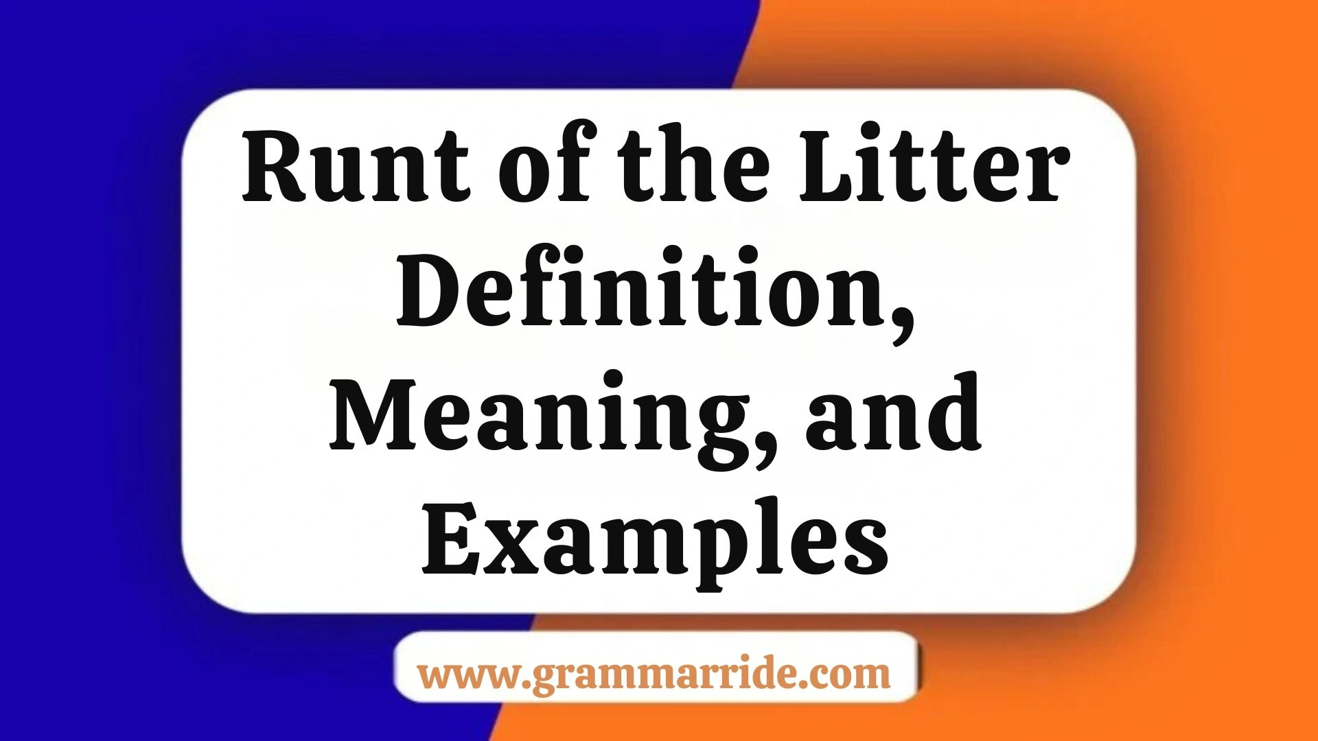 Runt of the Litter – Definition, Meaning, and Examples