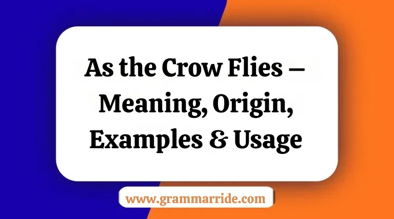 As the Crow Flies – Meaning Origin Examples & Usage