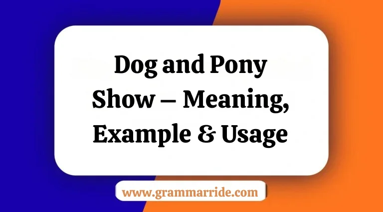Dog and Pony Show – Meaning Example & Usage