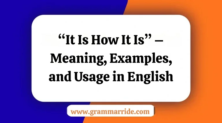 “It Is How It Is” – Meaning Examples and Usage in English