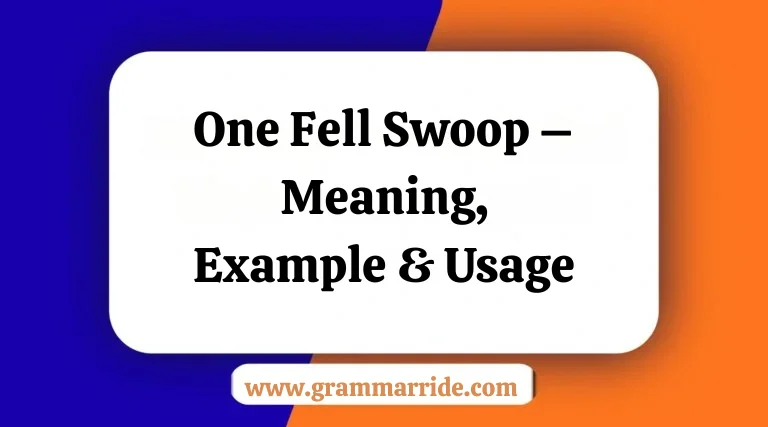 One Fell Swoop – Meaning