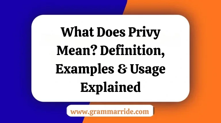 What Does Privy Mean? Definition Examples & Usage Explained
