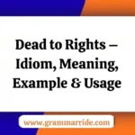 Dead to Rights – Idiom Meaning Example & Usage