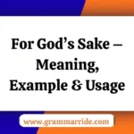 For God’s Sake – Meaning Example & Usage