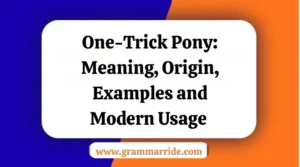 One-Trick Pony: Meaning Origin Examples and Modern Usage 