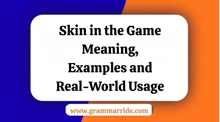 Skin in the Game Meaning Examples and Real-World Usage