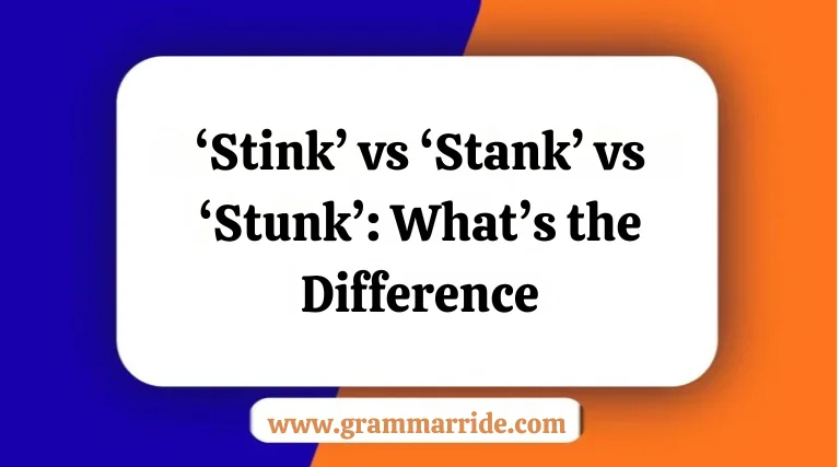 ‘Stink’ vs ‘Stank’ vs ‘Stunk’: What’s the Difference