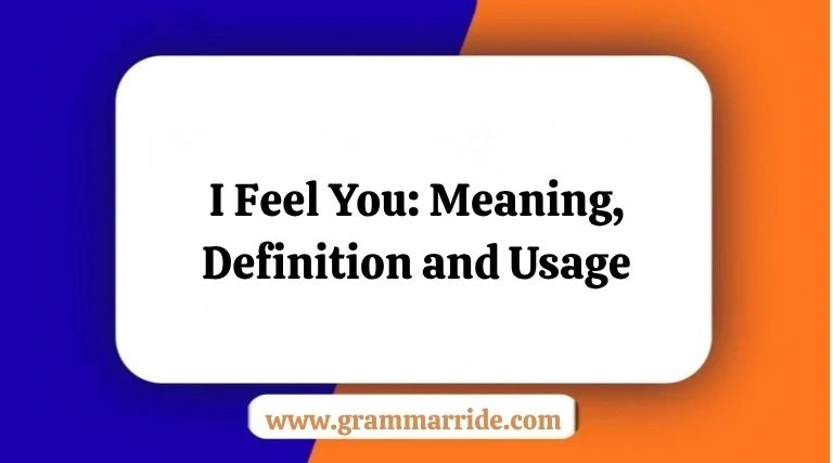 I Feel You: Meaning