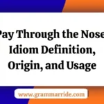 Pay Through the Nose: Idiom