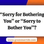 “Sorry for Bothering You” or “Sorry to Bother You”?