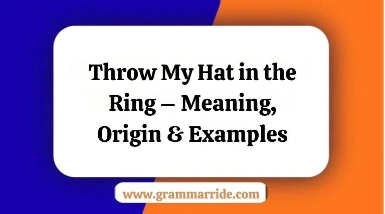 Throw My Hat in the Ring – Meaning