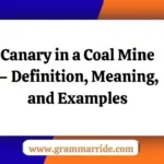 Canary in a Coal Mine – Definition