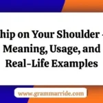 Chip on Your Shoulder – Meaning