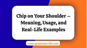 Chip on Your Shoulder – Meaning