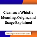 Clean as a Whistle Meaning