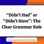 “Didn’t Had” or “Didn’t Have”