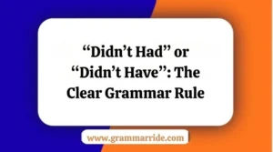 “Didn’t Had” or “Didn’t Have”