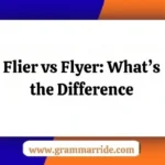 Flier vs Flyer