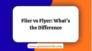 Flier vs Flyer