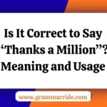 Is It Correct to Say “Thanks a Million”?