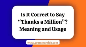 Is It Correct to Say “Thanks a Million”?