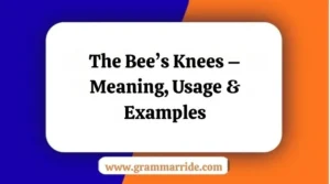 The Bee’s Knees – Meaning