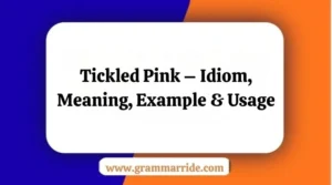 Tickled Pink – Idiom