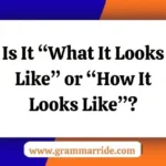 “What It Looks Like” or “How It Looks Like”