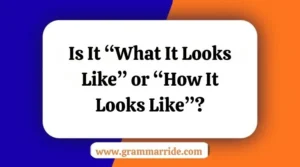 “What It Looks Like” or “How It Looks Like”