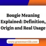 Bougie Meaning