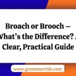 Broach or Brooch