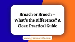 Broach or Brooch