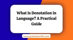 Denotation in Language