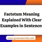 Factotum Meaning