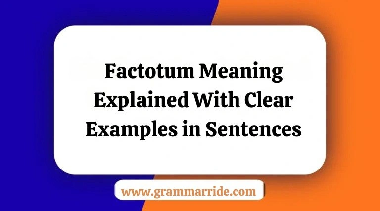 Factotum Meaning
