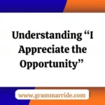 “I Appreciate the Opportunity”