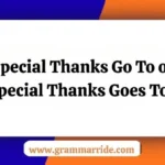 Special Thanks Go To or Special Thanks Goes To
